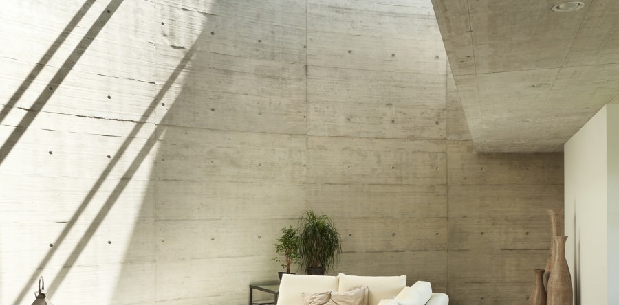 Etiam commodo convallis