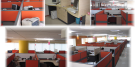 SYNOVATE,. INDIA